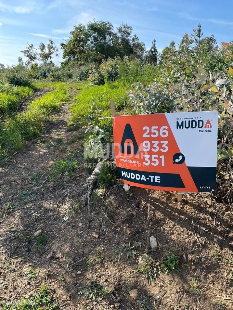 2320m² Land in Branca, Portugal No. 335070