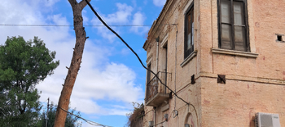 Terreno en San Severo, Italy 10000 m² No. 288886 2