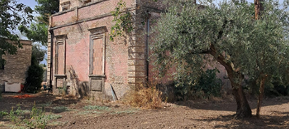 Terreno en San Severo, Italy 10000 m² No. 288886 4