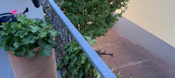 4 غرف نوم تاون هاوس في Wetteraukreis, Germany رقم 11963 6