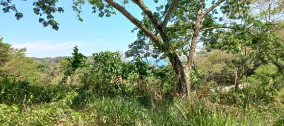 Grundstück in Puntarenas, Costa Rica, Nr. 1375 4