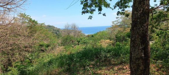 Grundstück in Puntarenas, Costa Rica, Nr. 1375 6