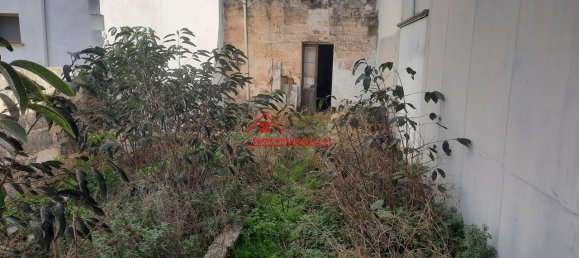 3-Zimmer Wohnung in Melissano, Italy, Nr. 23565 11