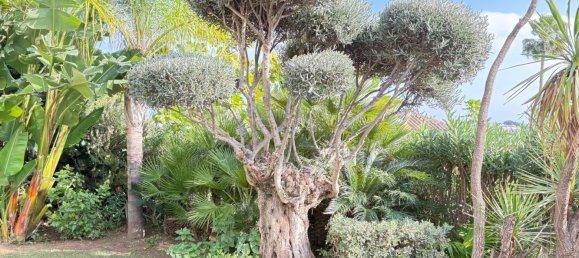 Вилла с 5 спальнями в Эстепона, Испания № 47172 39