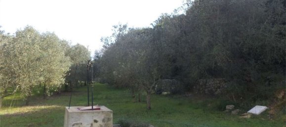 Terreno em Tricase, Italy 10000 m² N.º 334641 4