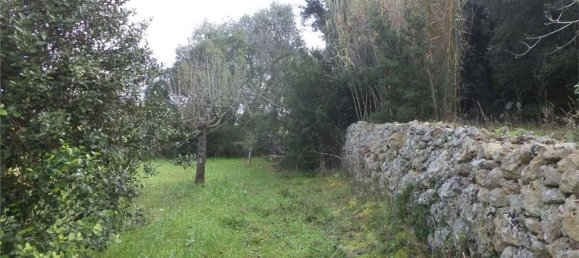 Terreno em Tricase, Italy 10000 m² N.º 334641 9