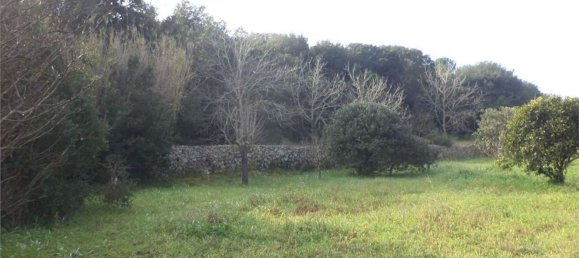 Terreno em Tricase, Italy 10000 m² N.º 334641 6