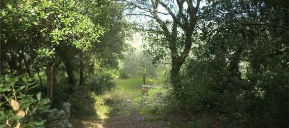 Terreno em Tricase, Italy 10000 m² N.º 334641 15