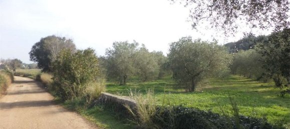 Terreno em Tricase, Italy 10000 m² N.º 334641 2