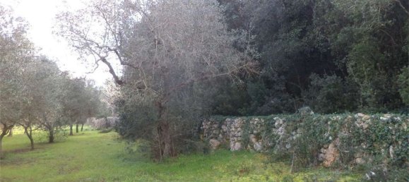 Terreno em Tricase, Italy 10000 m² N.º 334641 18