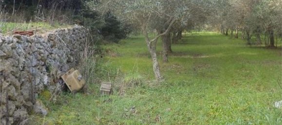 Terreno em Tricase, Italy 10000 m² N.º 334641 8