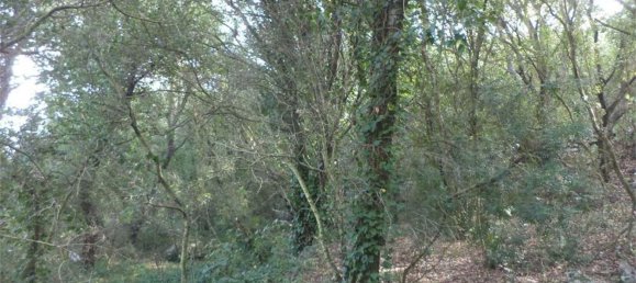 Terreno em Tricase, Italy 10000 m² N.º 334641 11