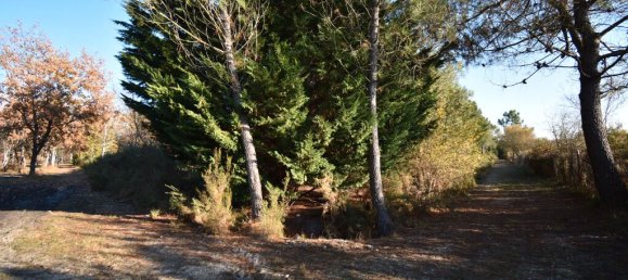 Земельный участок 240000м² в Сен-Жан-д'Илляк, Франция № 294646 2