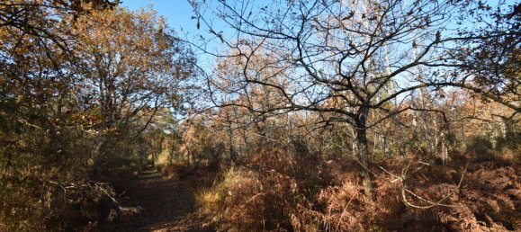 Земельный участок 240000м² в Сен-Жан-д'Илляк, Франция № 294646 6