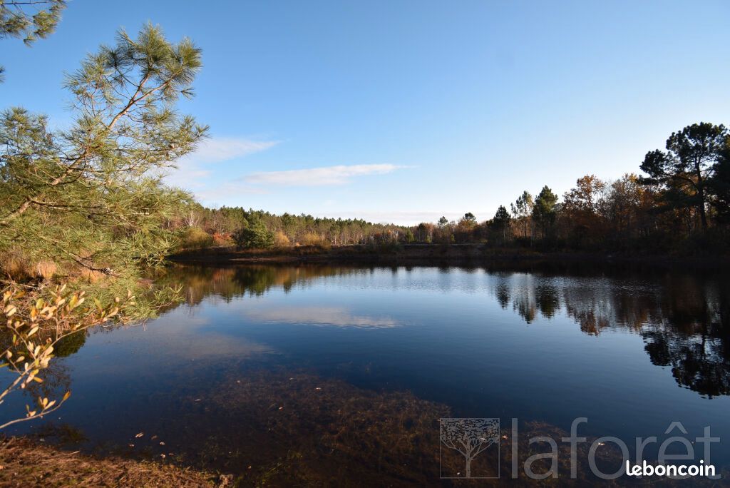 Земельный участок 240000м² в Сен-Жан-д'Илляк, Франция № 294646