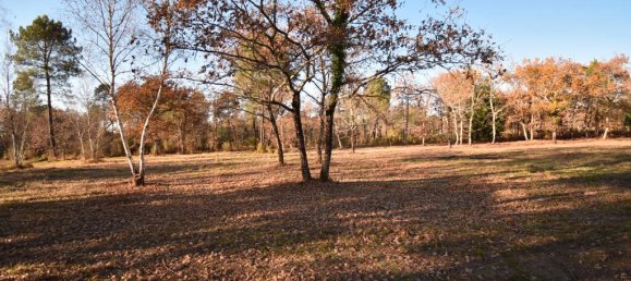 Земельный участок 240000м² в Сен-Жан-д'Илляк, Франция № 294646 4