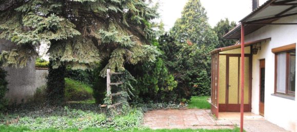 4-salle Maison à Zurndorf, Austria No. 176291 10