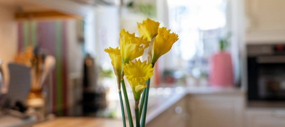 4 bedrooms House in Burmoos, Austria No. 102412 5