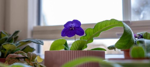 4 bedrooms House in Burmoos, Austria No. 102412 9