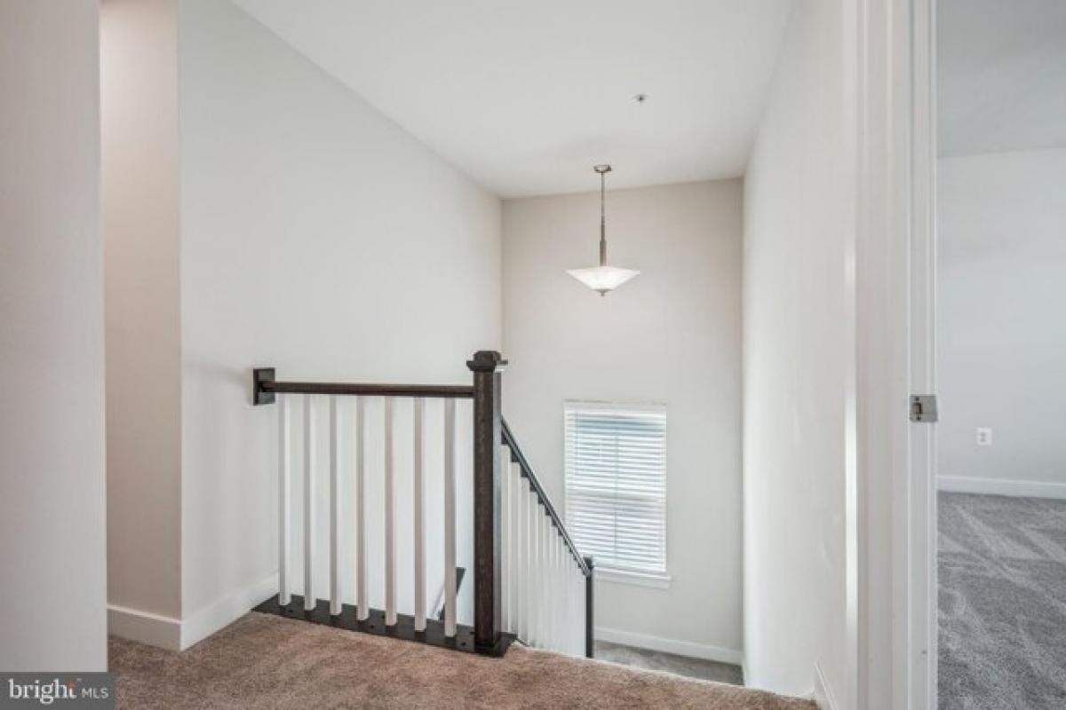 4 bedrooms House in Waldorf, USA No. 382199