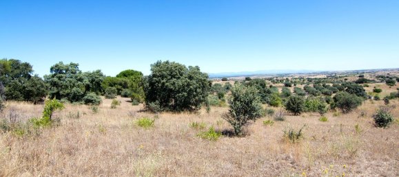 150008m² Land in Villamanta, Spain No. 118898 8