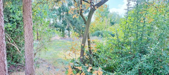 Edifício de 10 divisões em Rotenburg, Germany N.º 317013 2