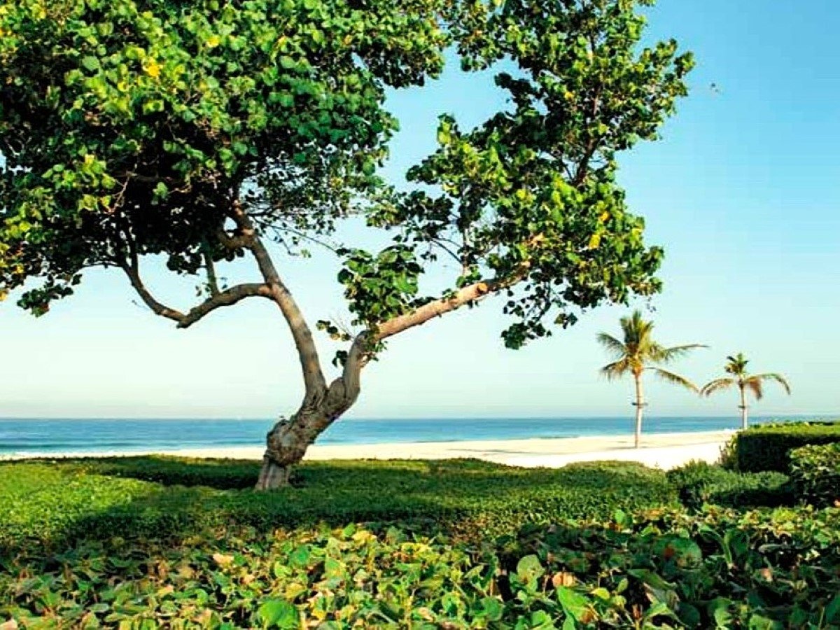 2 bedrooms Apartment in SEASIDE HILLS, Al Zorah, UAE No. 117403