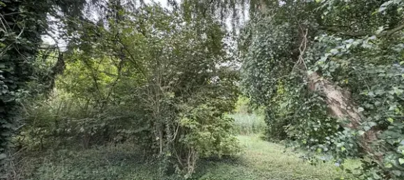 Terreno en Luchow-Dannenberg, Germany No. 349484 6