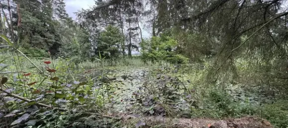 Terreno en Luchow-Dannenberg, Germany No. 349484 3