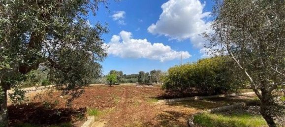 3 bedrooms Villa in Ostuni, Italy No. 345480 6