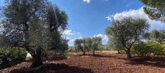 3 bedrooms Villa in Ostuni, Italy No. 345480 5