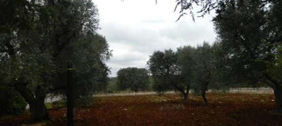 3 bedrooms Villa in Ostuni, Italy No. 345480 16