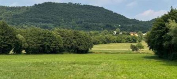 Земельный участок в Кастельгомберто, Италия № 353344 2