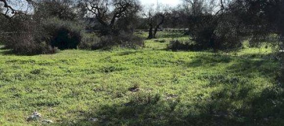 Grundstück in Ugento, Italy 477m², Nr. 144092 2