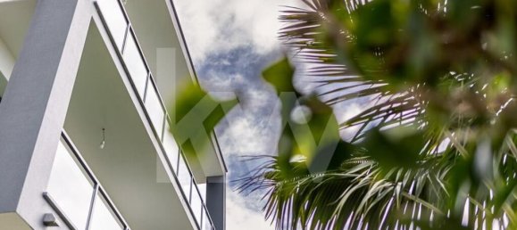 3 غرف نوم منزل في Ribeira Brava, Portugal رقم 77588 7