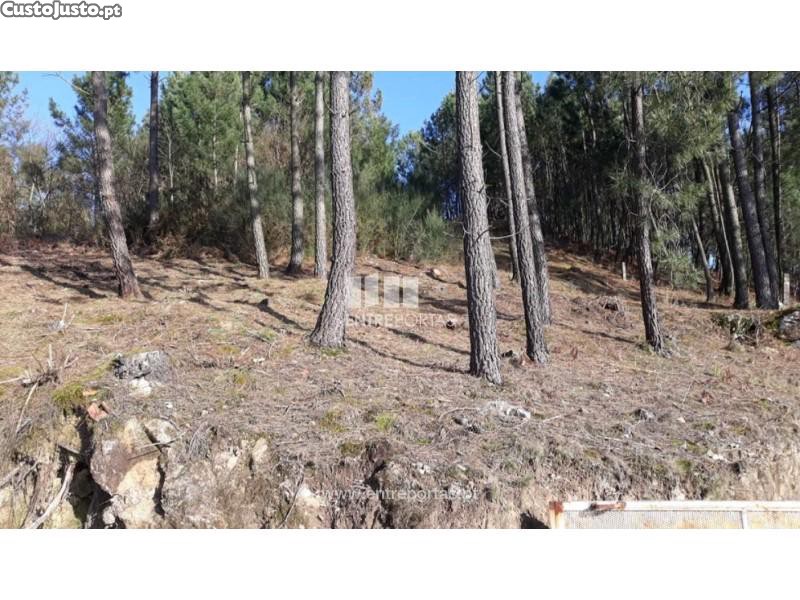 Grundstück in Baiao, Portugal 5700m², Nr. 52231