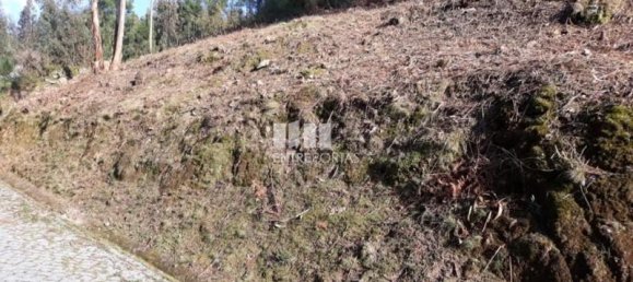 Grundstück in Baiao, Portugal 5700m², Nr. 52231 5