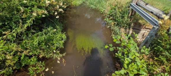 5 Schlafzimmer Bauernhof in Waldeck-Frankenberg, Germany, Nr. 341639 7