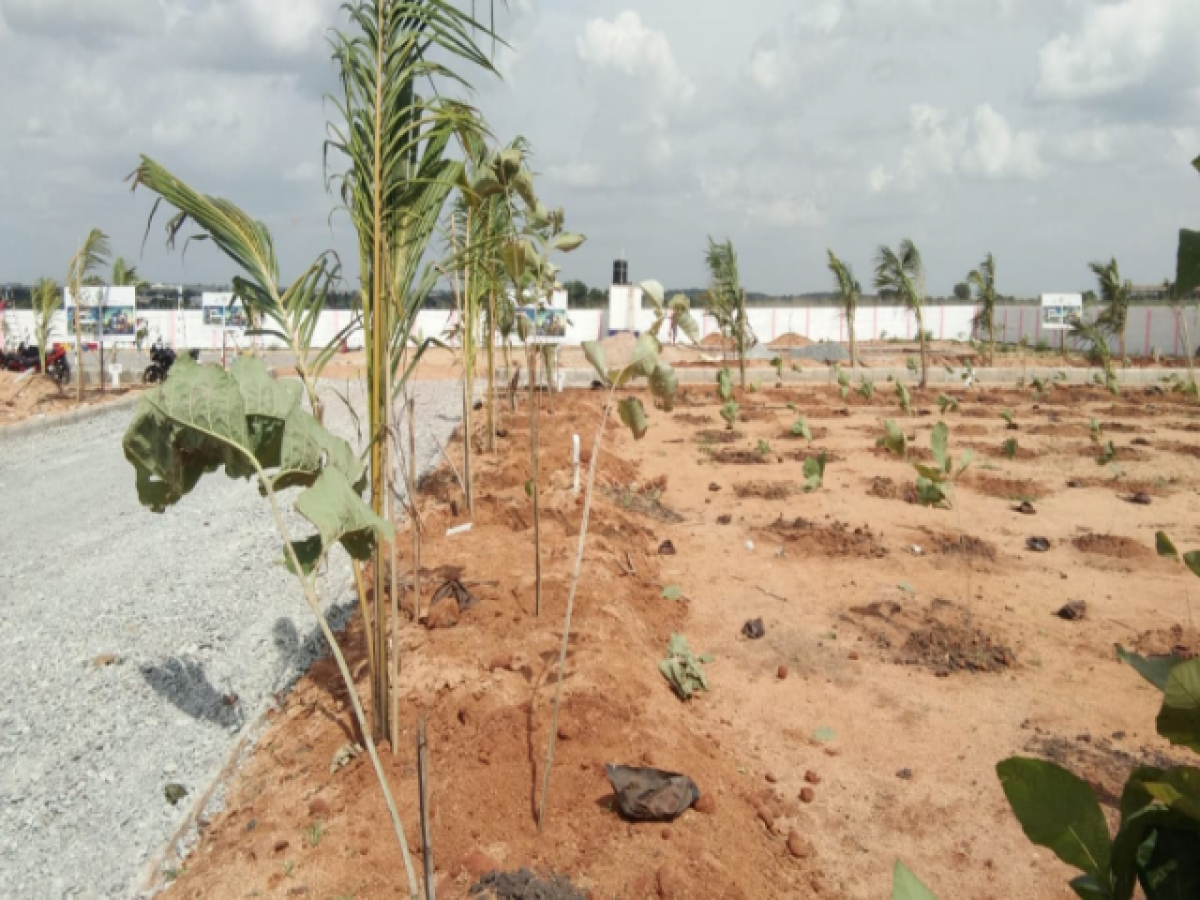  Land in Hyderabad, India No. 35522