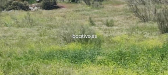 3 bedrooms House in Madrid, Spain No. 190347 34