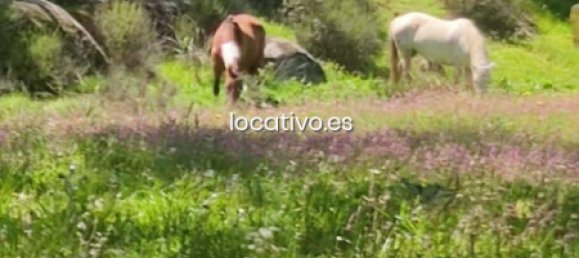 3 bedrooms House in Madrid, Spain No. 190347 29