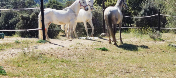 3 bedrooms House in Madrid, Spain No. 190347 23