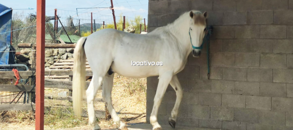 3 bedrooms House in Madrid, Spain No. 190347 22