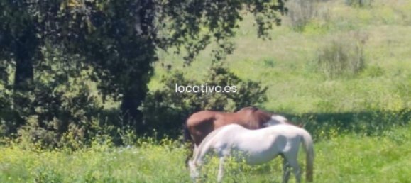 3 bedrooms House in Madrid, Spain No. 190347 24