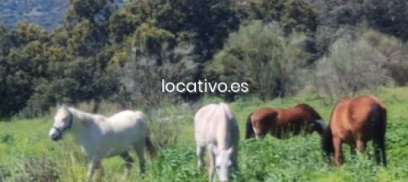 3 bedrooms House in Madrid, Spain No. 190347 25