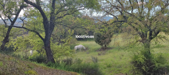 3 bedrooms House in Madrid, Spain No. 190347 33