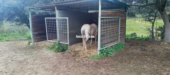 3 bedrooms House in Madrid, Spain No. 190347 27