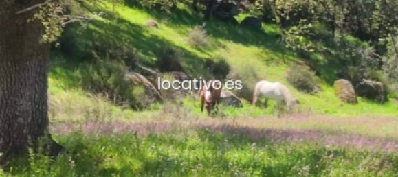 3 bedrooms House in Madrid, Spain No. 190347 30