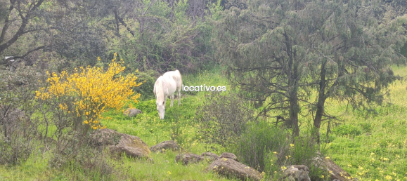 3 bedrooms House in Madrid, Spain No. 190347 32