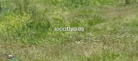 3 bedrooms House in Madrid, Spain No. 190347 35